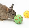 LiiB1pcs-Rabbit-Treat-Ball-Pet-Slow-Feeder-Interactive-Bunny-Toy-Snack-Toy-Ball-Bite-Resistant-Feeding.jpg