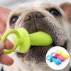 F8QrPet-Toys-for-Small-Dogs-Rubber-Resistance-To-Bite-Dog-Toy-Teeth-Cleaning-Chew-Training-Toys.jpg