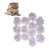 4lMx12Pcs-Cat-Mylar-Crinkle-Balls-Cat-Toy-Interactive-Sound-Ball-Big-Plastic-Balls-Crinkle-Crackle-Ring.jpg