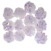 wwSw12Pcs-Cat-Mylar-Crinkle-Balls-Cat-Toy-Interactive-Sound-Ball-Big-Plastic-Balls-Crinkle-Crackle-Ring.jpg