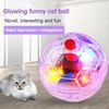 FiKG1-3pcs-Interactive-Ball-Toy-Flash-Paranormal-Equipment-Pet-Hunting-Flash-Motion-Balls-Pet-Toy-Light.jpg