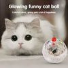 HpVh1-3pcs-Interactive-Ball-Toy-Flash-Paranormal-Equipment-Pet-Hunting-Flash-Motion-Balls-Pet-Toy-Light.jpg