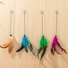 ibp2Cat-Toy-Stick-Feather-Wand-With-Bell-Mouse-Cage-Toys-Plastic-Artificial-Colorful-Cat-Teaser-Toy.jpg