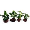 ShybVolcanic-Aquarium-Decoration-Fish-Tank-Plant-Fixing-Pot-Polka-Water-Plants-Potted-Planting-Cup-Aquarium-Accessories.jpg