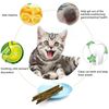rpqR6Pcs-Kitten-Chew-Toys-Catnip-Sticks-Cat-Molar-Natural-Wood-Polygonum-Sticks-Reusable-Pet-Snacks-Cleaning.jpg
