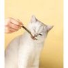 6qqq6Pcs-Kitten-Chew-Toys-Catnip-Sticks-Cat-Molar-Natural-Wood-Polygonum-Sticks-Reusable-Pet-Snacks-Cleaning.jpg