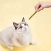 vFWr6Pcs-Kitten-Chew-Toys-Catnip-Sticks-Cat-Molar-Natural-Wood-Polygonum-Sticks-Reusable-Pet-Snacks-Cleaning.jpg