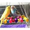 xWOg1pcs-Birds-Toy-Pet-Bird-Parrot-Cockatiel-Cage-Bird-Toys-HangingToy-Brinquedo-Hammock-Swing-Toy.jpg