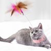 WBuGInteractive-Cat-Toys-Funny-Feather-Teaser-Stick-with-Bell-Pets-Collar-Kitten-Playing-Teaser-Wand-Training.jpg