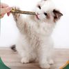 Udyo10-Pcs-Cat-Chew-Toys-Natural-Catnip-Pet-Cat-Molar-Toothpaste-Stick-Sticks-Kittens-Teeth-Cleaning.jpg