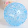 5SLm10CM-Plastic-Outdoor-Sport-Ball-Grounder-Rat-Small-Pet-Rodent-Mice-Jogging-Ball-Toy-Hamster-Gerbil.jpg