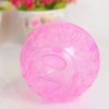 9jHw10CM-Plastic-Outdoor-Sport-Ball-Grounder-Rat-Small-Pet-Rodent-Mice-Jogging-Ball-Toy-Hamster-Gerbil.jpg