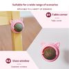 VAglCatnip-Wall-Ball-Cat-Toys-Pet-Toys-For-Cats-Clean-Mouth-Promote-Digestion-Kittens-Mint-Licking.jpg