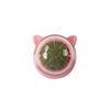 kHKyCatnip-Wall-Ball-Cat-Toys-Pet-Toys-For-Cats-Clean-Mouth-Promote-Digestion-Kittens-Mint-Licking.jpg