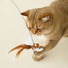 Sg7tHandfree-Bird-Feather-Cat-Wand-with-Bell-Powerful-Suction-Cup-Interactive-Toys-for-Cats-Kitten-Hunting.jpg