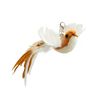 TUEnHandfree-Bird-Feather-Cat-Wand-with-Bell-Powerful-Suction-Cup-Interactive-Toys-for-Cats-Kitten-Hunting.jpg