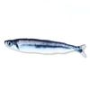 kl7ACat-Toy-Training-Entertainment-Fish-Plush-Stuffed-Pillow-20Cm-Simulation-Fish-Cat-Toy-Fish-Interactive-Pet.jpg