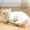 aZ2qCatnip-Cat-Toys-Natural-Matatabi-Pet-Cat-Snacks-Stick-Cleans-Tooth-Removers-Hair-to-Promote-Digestion.jpg