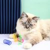 S4D34-8-16-20pcs-Kitten-Cat-Toys-Wide-Durable-Heavy-Gauge-Cat-Spring-Toy-Colorful-Springs.jpg