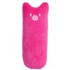 xzHcFunny-Interactive-Crazy-Cat-Toy-Pet-Kitten-Chewing-Toy-Teeth-Grinding-Catnip-Toys-Claws-Thumb-Bite.jpg