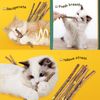 ayw1Cat-Molar-Stick-Natural-Catnip-Teeth-Cleaning-Toothpaste-Silvervine-Cat-Snack-Stick-Self-Healing-Kitten-Chew.jpg