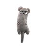 mJlNCute-Cat-Toys-Funny-Interactive-Plush-Cat-Toy-Mini-Teeth-Grinding-Catnip-Toys-Kitten-Chewing-Squeaky.jpg