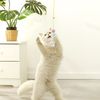 qX5iSimulation-Caterpillar-Cat-Toy-Cat-Scratch-Rope-Mouse-Funny-Self-hey-Interactive-Toy-Retractable-Hanging-Door.jpg