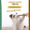 0G6YCatnip-Clean-Teeth-Green-Cat-Snacks-Sticks-Cat-Molar-Stick-Pet-Supplies-Toys-Cats-Chew-Toys.jpg