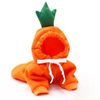 9MttCute-Fruit-Dog-Clothes-for-Small-Dogs-hoodies-Warm-Fleece-Pet-Clothing-Puppy-Cat-Costume-Coat.jpg