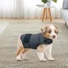 zkOMClassic-Dog-Anxiety-Jacket-Breathable-Thunder-Vest-For-Dogs-Thunder-Vest-For-Dogs-Anxiety-Shirt-Dog.jpg