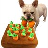 rsKFIntelligence-Pet-Toy-Plush-Dog-Interactive-Toy-Carrot-Chew-Toy-for-Foraging-Sniffing-Training-to-Eliminates.jpg