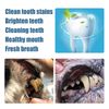 cGiZPet-Teeth-Cleaner-Pen-Cats-Tartar-Dental-Stones-Remover-Fresh-Bad-Breath-Deodorant-Reduce-Tooth-Calculus.jpg