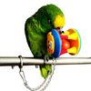 dYTBCute-Pet-Bird-Plastic-Chew-Ball-Chain-Cage-Toy-for-Parrot-Cockatiel-Parakeet.jpg