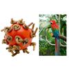 S326Bird-Ball-Chew-Toy-with-Knots-4cm-Dia-Foot-Toy-Suitable-for-Amazon-Parrot-African-Grey.jpg