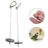 A745Pet-Parrots-Birds-Feeder-Food-Holder-Support-Stainless-Steel-Spear-Stick-Fruit-Anti-stick-Skewers-Bird.jpg