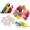 JUfm10pcs-Primary-Color-Sepak-Takraw-Parrot-Chewing-Toy-Ball-Pet-Bird-Foot-foot-Scratching-foot-Toy.jpg