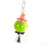 K2JqParrot-Toys-Bird-Mirror-Colorful-Mirror-Toys-For-Parrots-Parakeet-Cockatiel-Cage-Decorative-Pendant-Bird-Accessories.jpg