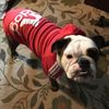 ZgrDWinter-Dog-Clothes-Adidog-Sport-Hoodies-Sweatshirts-Warm-Coat-Clothing-for-Small-Medium-Large-Dogs-Big.jpg