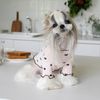8TR2Autumn-and-Winter-Pet-Undercoat-Clothes-Embroidered-Bear-Waffle-Home-Vest-Dog-Cat-Yorkshire-Schnauzer-Maltese.jpg
