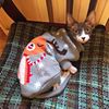 LIzxChristmas-Cat-Dog-Sweater-Pullover-Winter-Dog-Clothes-for-Small-Dogs-Chihuahua-Yorkies-Puppy-Jacket-Pet.jpg