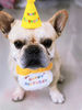 bI1WCat-Dog-Birthday-Bib-and-Party-Hat-Mini-Doggy-Cat-Adjustable-Bandana-Scarf-Pet-Birthday-Outfit.jpg