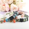 itiQ11-Colors-Quick-Release-Cat-Collar-Personalized-Safety-Cat-Collars-Necklace-Free-Engraved-ID-Tag-Nameplate.jpg