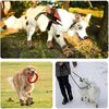 AEhCBenepaw-Soft-Dog-Shoes-Waterproof-Shoes-Sturdy-Anti-Slip-Adjustable-Cross-Straps-Pet-Boots-For-Walking.jpg