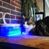 UMXaCats-Water-Fountain-With-Faucet-Cat-Water-Dispenser-With-No-LED-Blue-Light-USB-Powered-Automatic.jpg