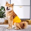 Yh4IWashable-Pet-Dog-Diapers-Males-Absorbent-Adjustable-Puppy-Big-dog-Physiological-Pants-for-Dogs-Reusable-Pets.jpg