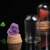 zkU9Natural-Raw-Stone-Crystal-Mineral-Glass-Display-Jar-Specimen-Collections-Children-Popular-Science-Teaching-Tool-Gift.jpg