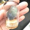 uFjZNatural-Raw-Stone-Crystal-Mineral-Glass-Display-Jar-Specimen-Collections-Children-Popular-Science-Teaching-Tool-Gift.jpg