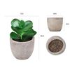 MQj6Mini-Artificial-Aloe-Plants-Bonsai-Small-Simulated-Tree-Pot-Plants-Fake-Flowers-Office-Table-Potted-Ornaments.jpg