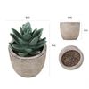DppWMini-Artificial-Aloe-Plants-Bonsai-Small-Simulated-Tree-Pot-Plants-Fake-Flowers-Office-Table-Potted-Ornaments.jpg