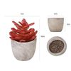 dZCdMini-Artificial-Aloe-Plants-Bonsai-Small-Simulated-Tree-Pot-Plants-Fake-Flowers-Office-Table-Potted-Ornaments.jpg